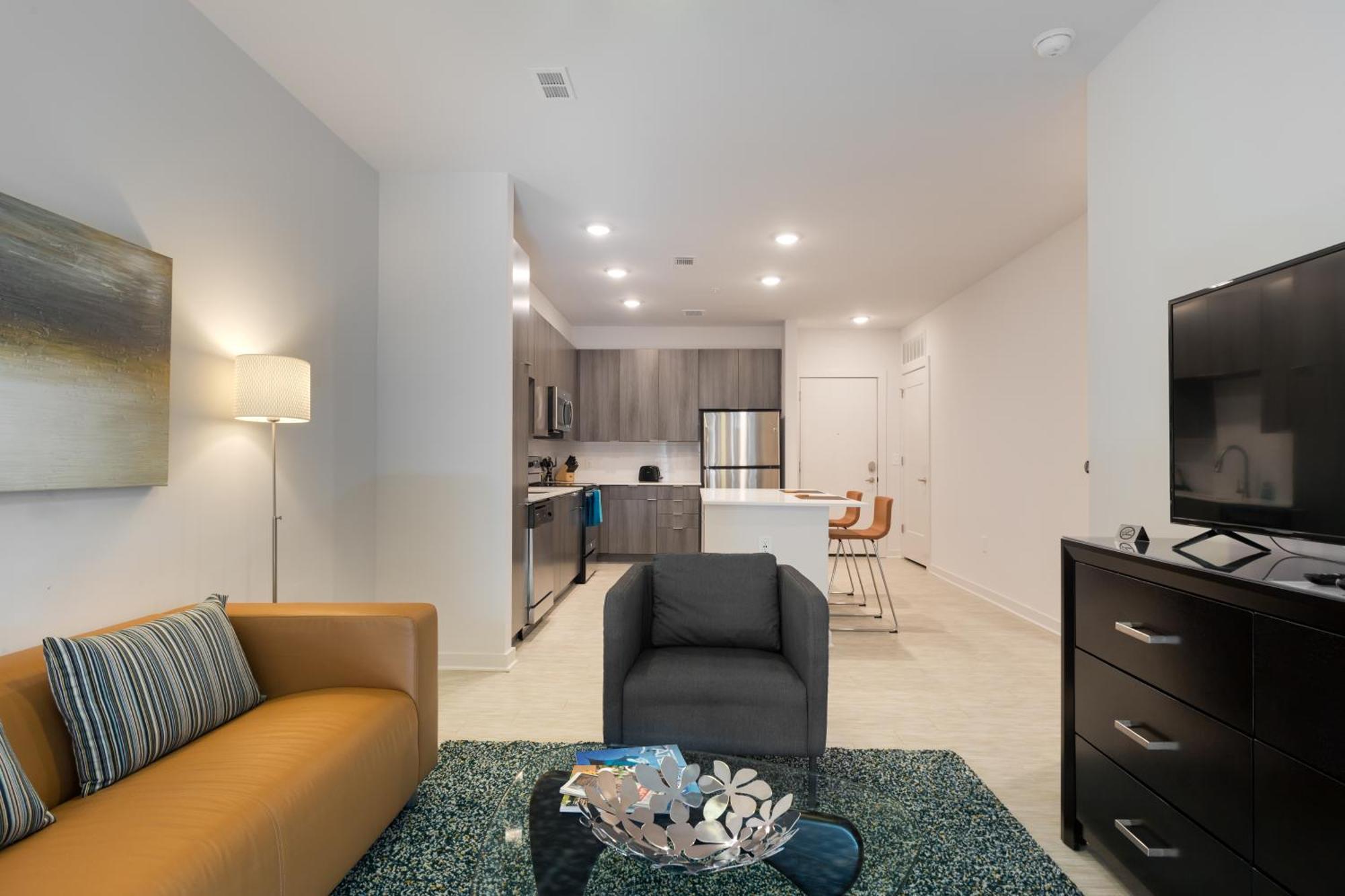 Spectacular Apartments By Bca Furnished Apartments 애틀랜타 객실 사진