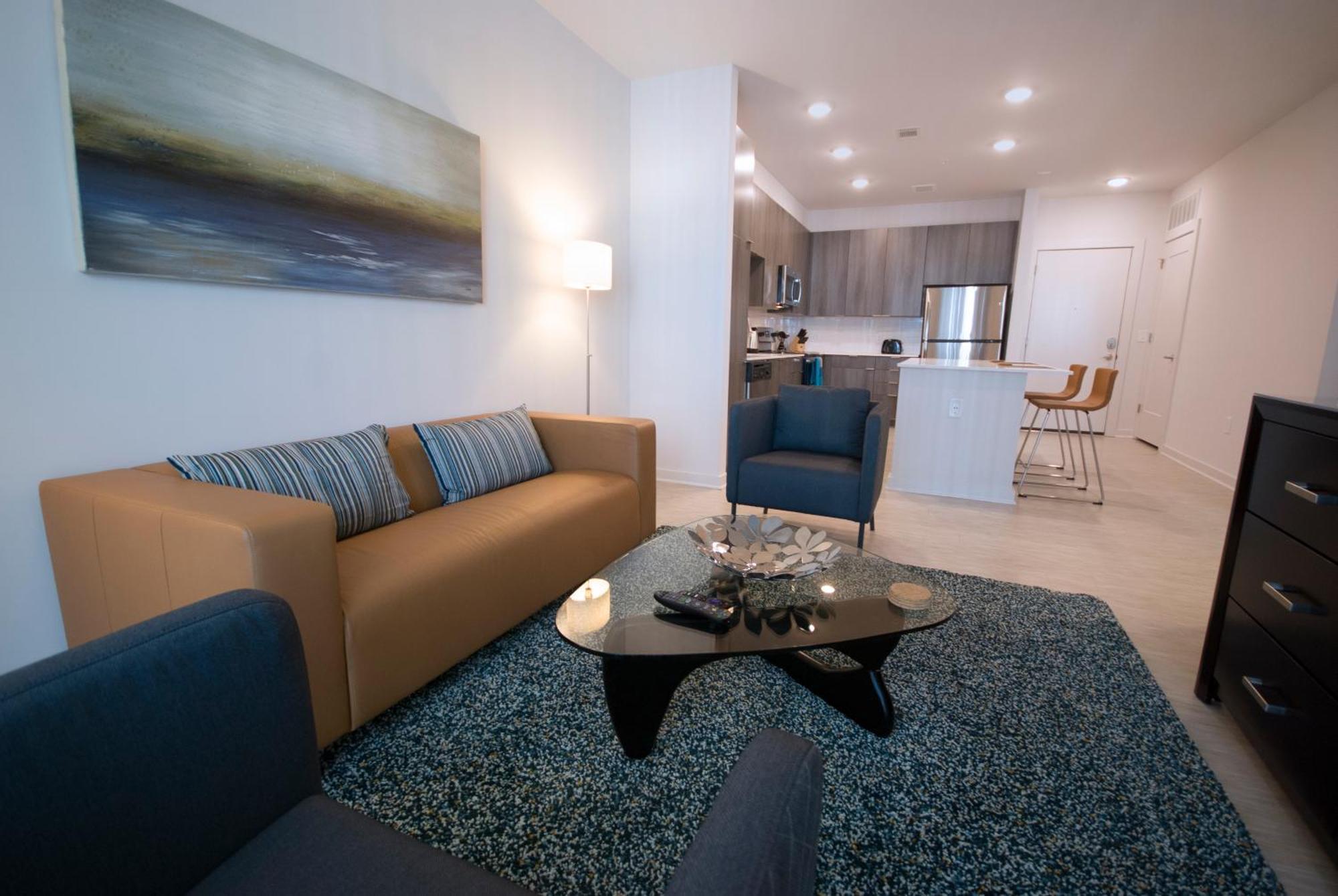Spectacular Apartments By Bca Furnished Apartments 애틀랜타 객실 사진